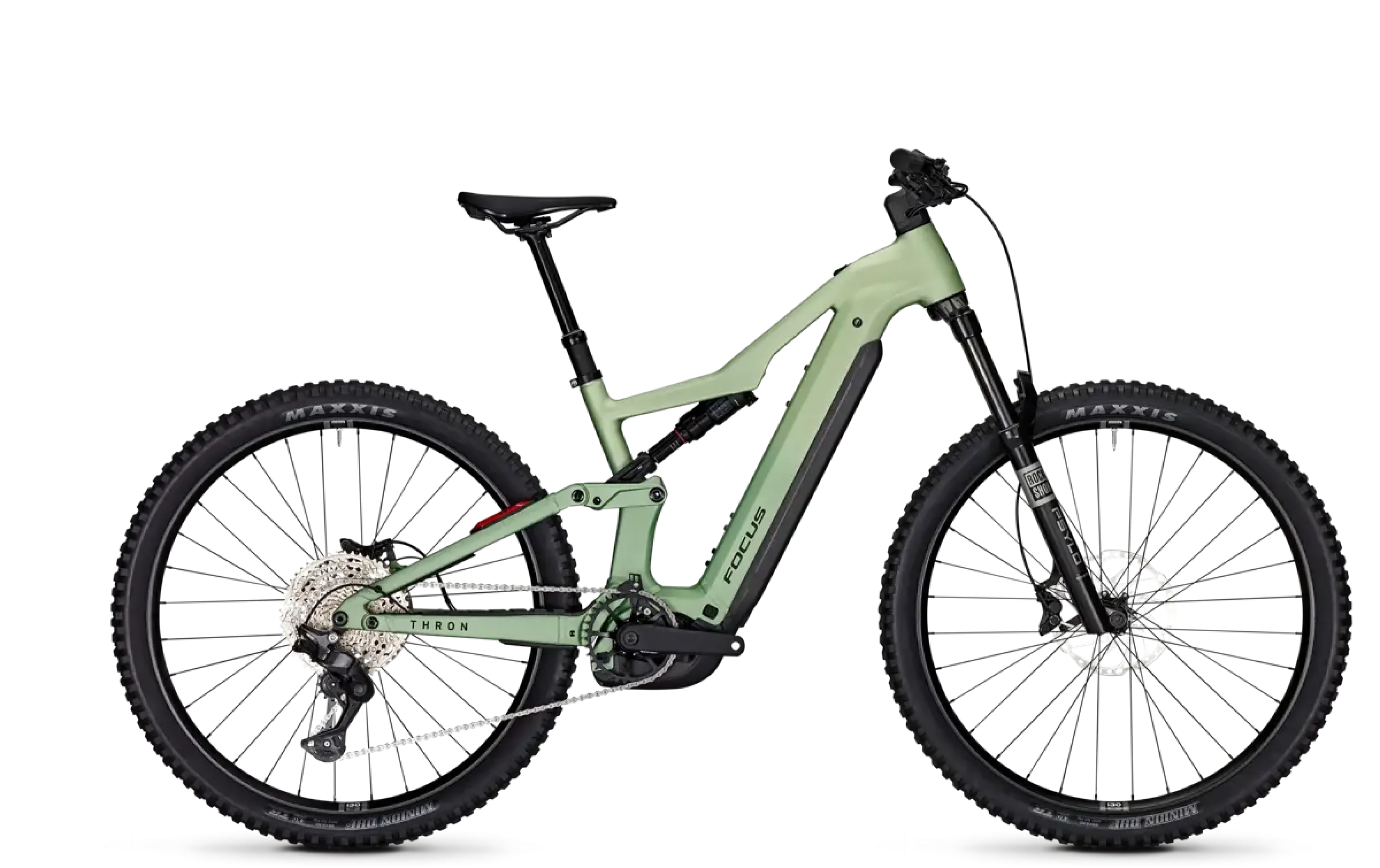 FOCUS THRON 8 Mintgrey matt / Artichokegreen matt